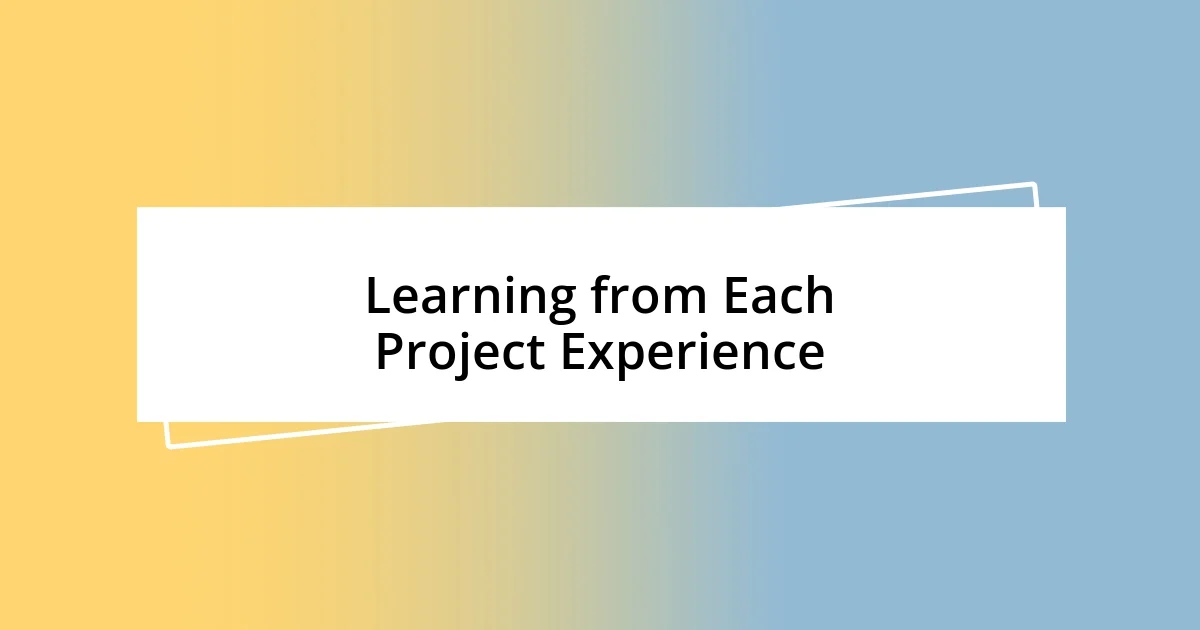 Learning from Each Project Experience